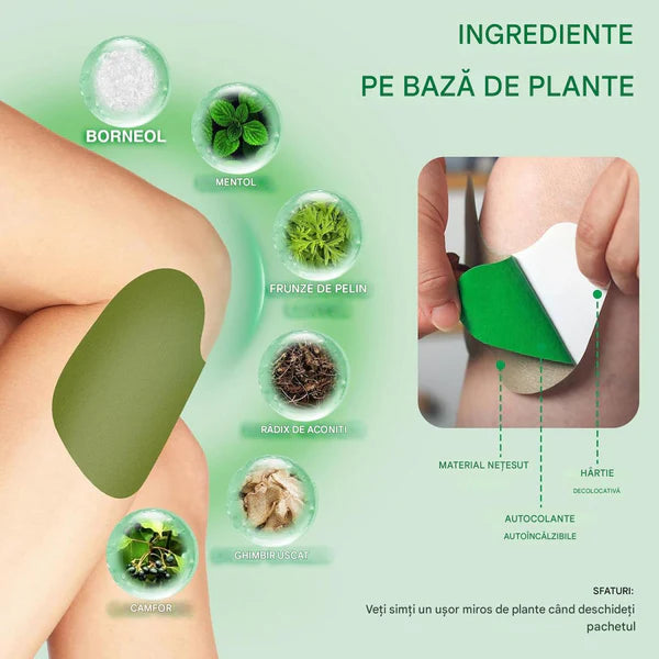 SET 50 PLASTURI-PELIN pentru Genunchi, Spate, Umeri, pe baza de Plante