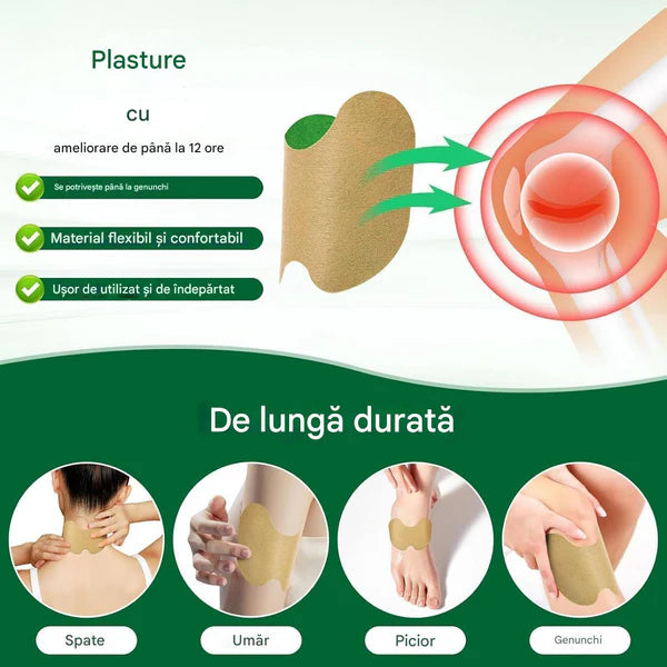 SET 50 PLASTURI-PELIN pentru Genunchi, Spate, Umeri, pe baza de Plante