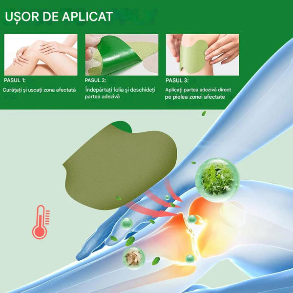 SET 50 PLASTURI-PELIN pentru Genunchi, Spate, Umeri, pe baza de Plante