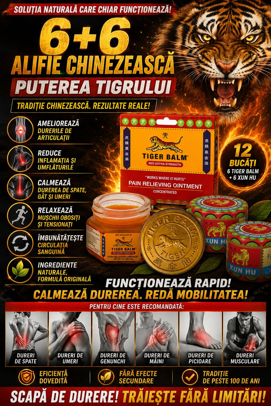 Ofertă Specială 6+6 Borcane: Alifie Naturală „Puterea Tigrului” pentru Dureri – O Tradiție de peste 100 de Ani!